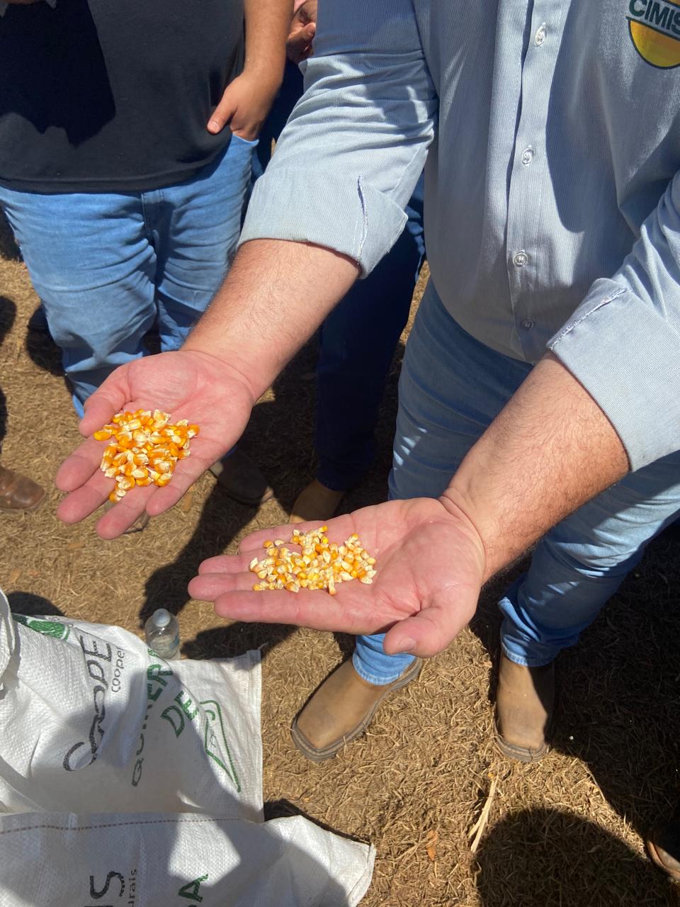 1º Dia de Campo em Tecnologia de Sementes