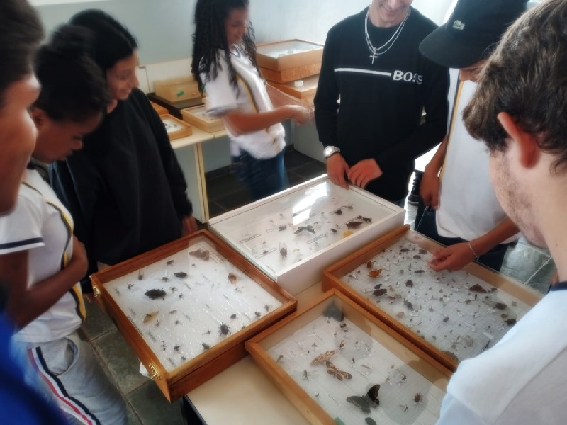 1782f129-ef2b-4d39-87df-b3ec832a8ebb