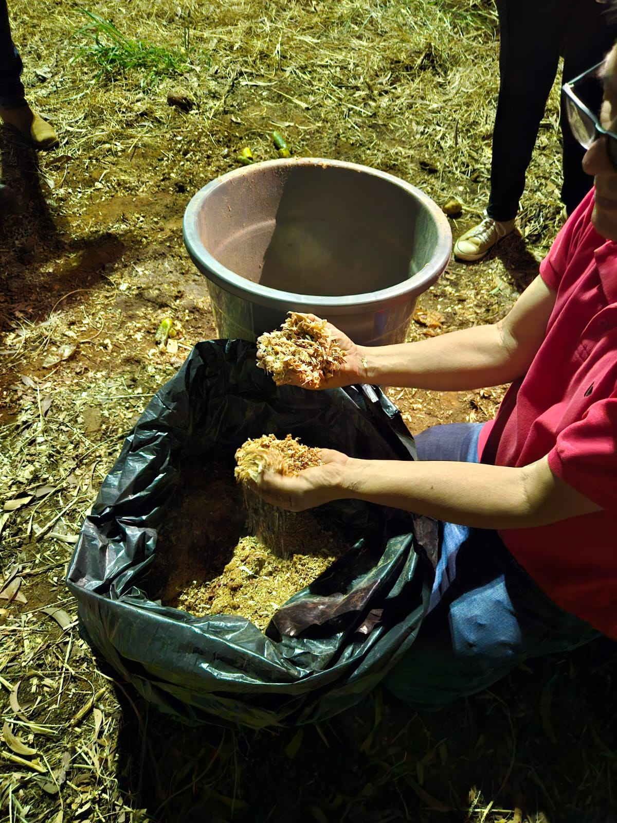 d6dd4d09-752c-49aa-90a0-18ab0e16ec28