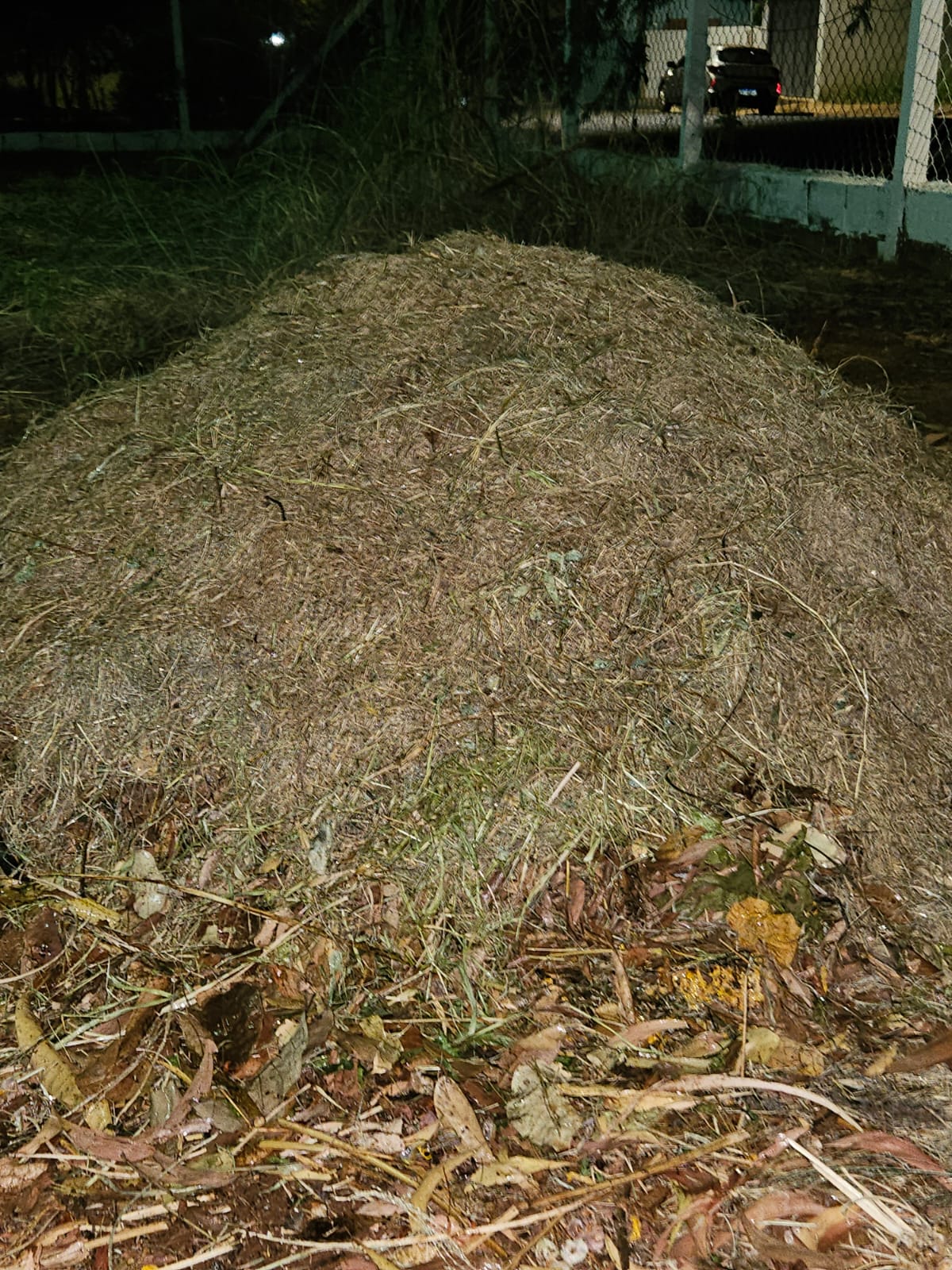 3baf2abe-a058-408c-b696-8bece31b3d36