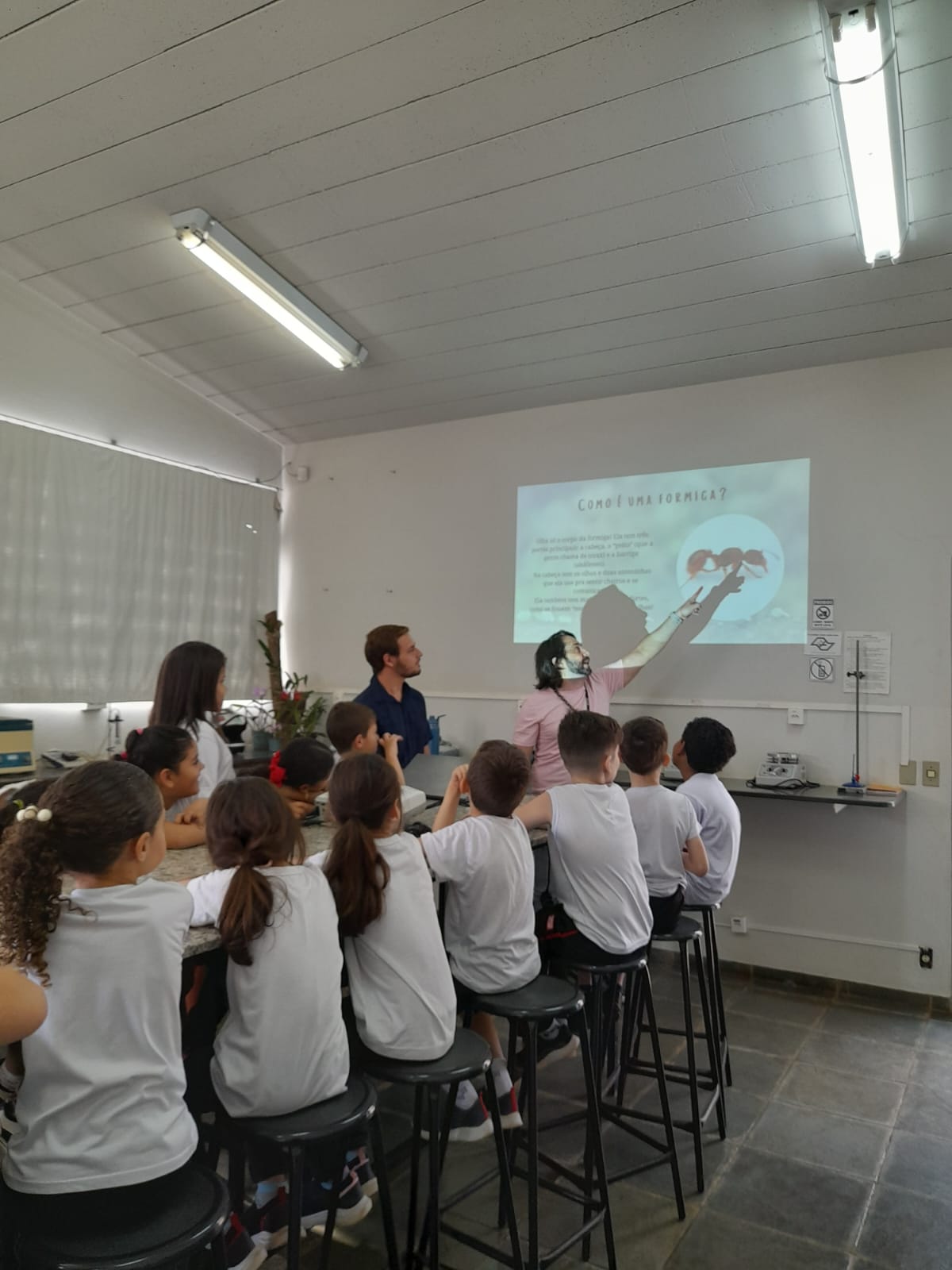 Estudantes do SESI visitam projeto sobre formigas cortadeiras na Faculdade Municipal de Bebedouro