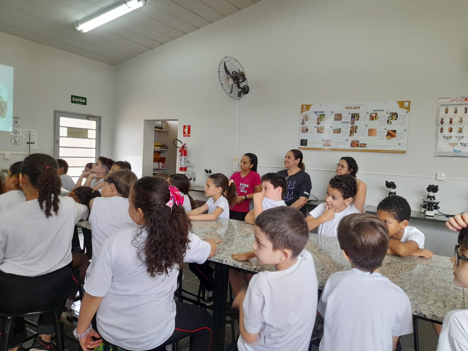 Estudantes do SESI visitam projeto sobre formigas cortadeiras na Faculdade Municipal de Bebedouro
