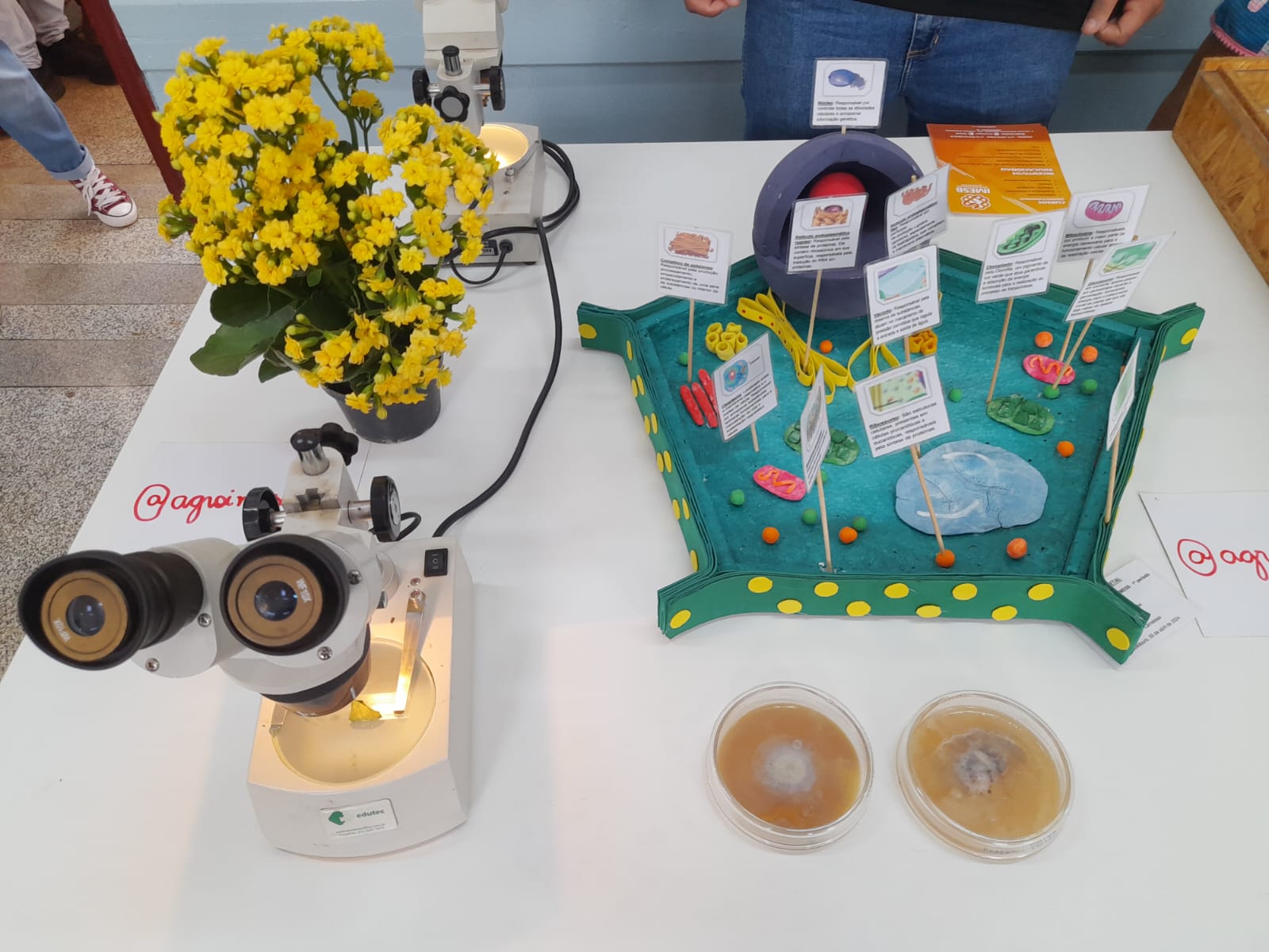 1502bc43-dd04-4349-8401-16e8beb2c2af